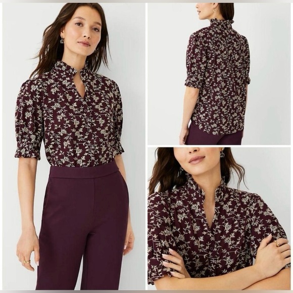 NWT Ann Taylor Embroidered Ruffle Button Top XS - Picture 1 of 6